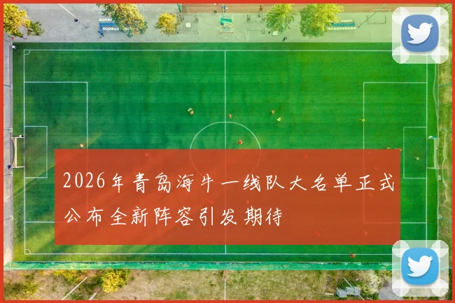 2026年青岛海牛一线队大名单正式公布全新阵容引发期待